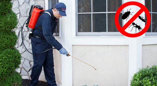 Saraykent Hamam Böceği İlaçlama böcek ilaçlama ve haşere kontrolü — ilaclama-tr.com